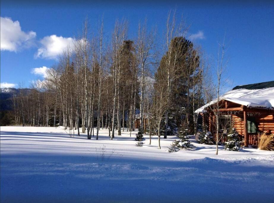 Lazy Fox Cabin West Yellowstone Bagian luar foto