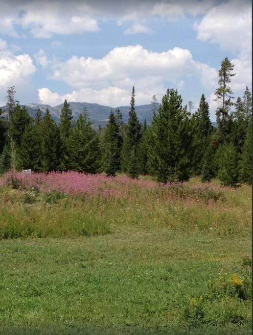 Lazy Fox Cabin West Yellowstone Bagian luar foto